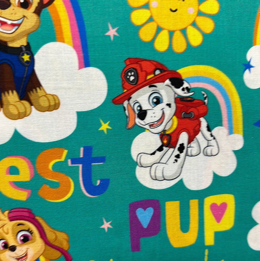 Last half yard - Paw Patrol - Best Pup Friends- Multi  - New for 2023