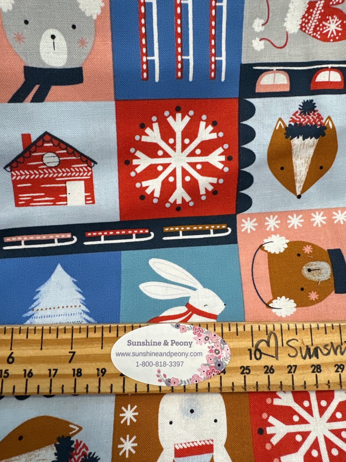 Dashwood Studio - Neige beaucoup de plaisir