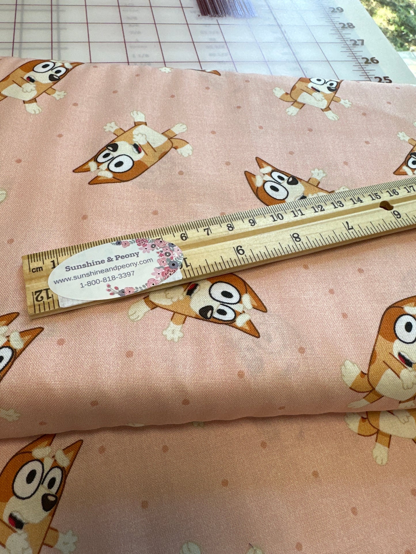 Arrived - Bluey - Bingo - Bluey’s sister on Peach