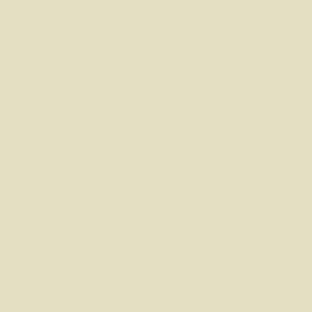 Springs Creative - Parchment - Natural Charm - Solid - Priced per Half Metre