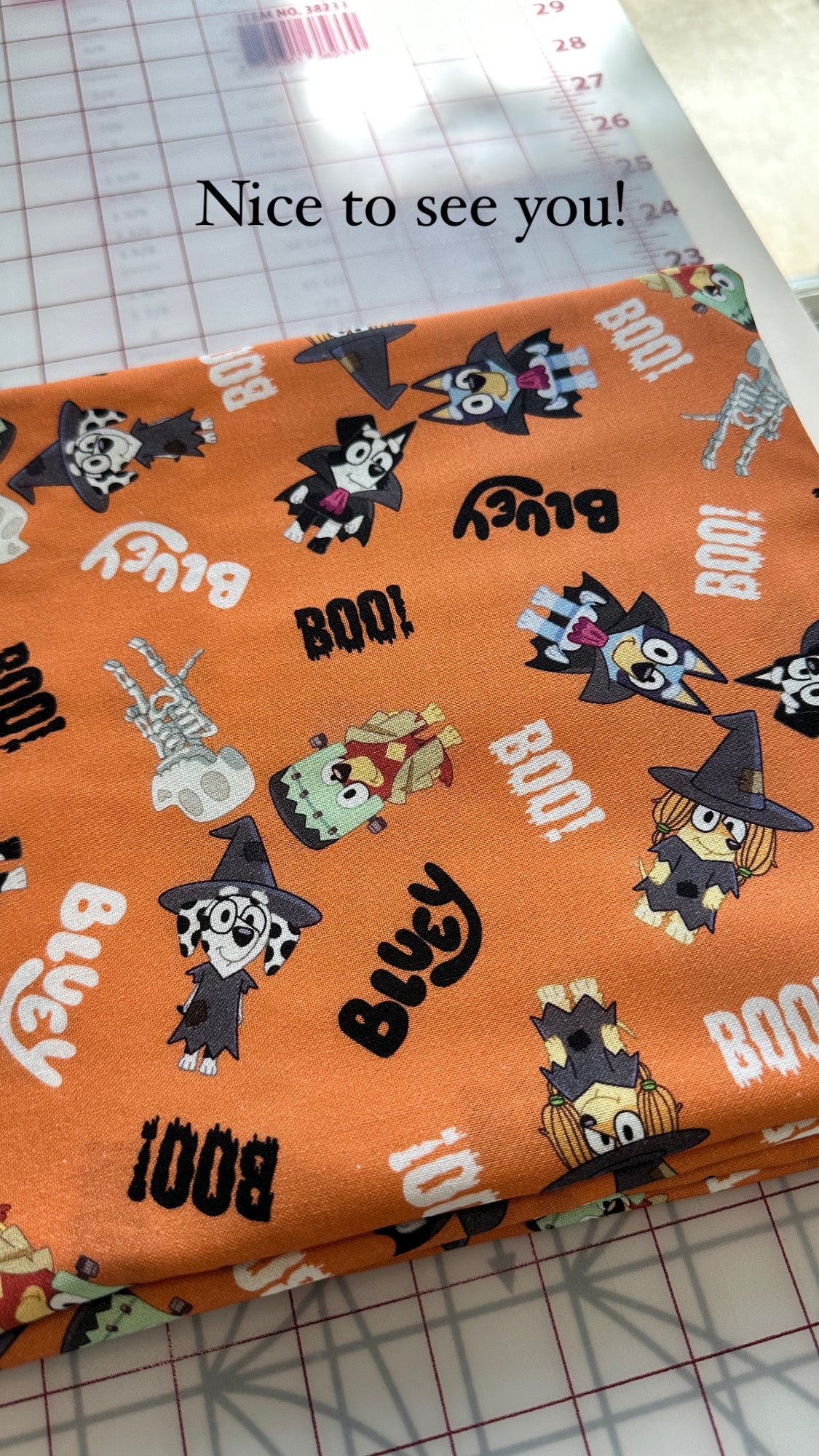 Halloween Bluey - Orange Boo Bluey - Priced by the half metre