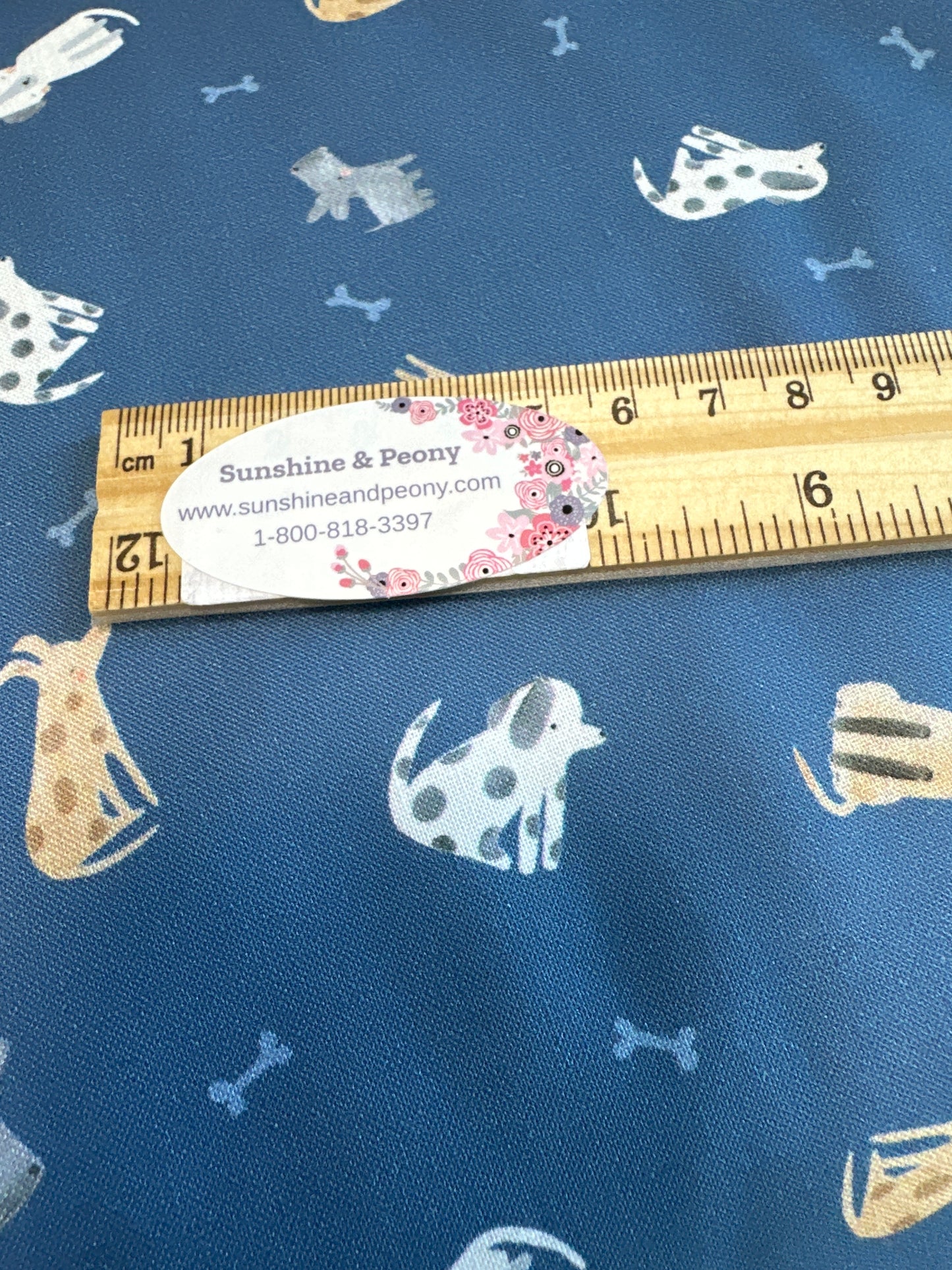 Dear Stella  - Paws & Reflect - The Ultimutts - Orion