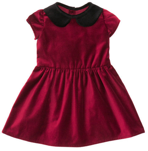 Lush Velveteen - Black - Robert Kaufman