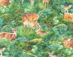 Robert Kaufman - North American Wildlife - Forest