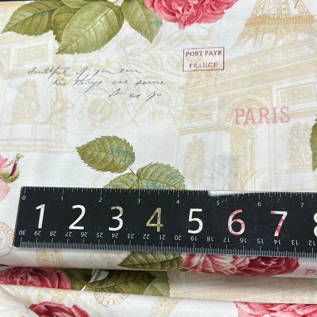 Dashwood Studio - Notre planète - Koalas