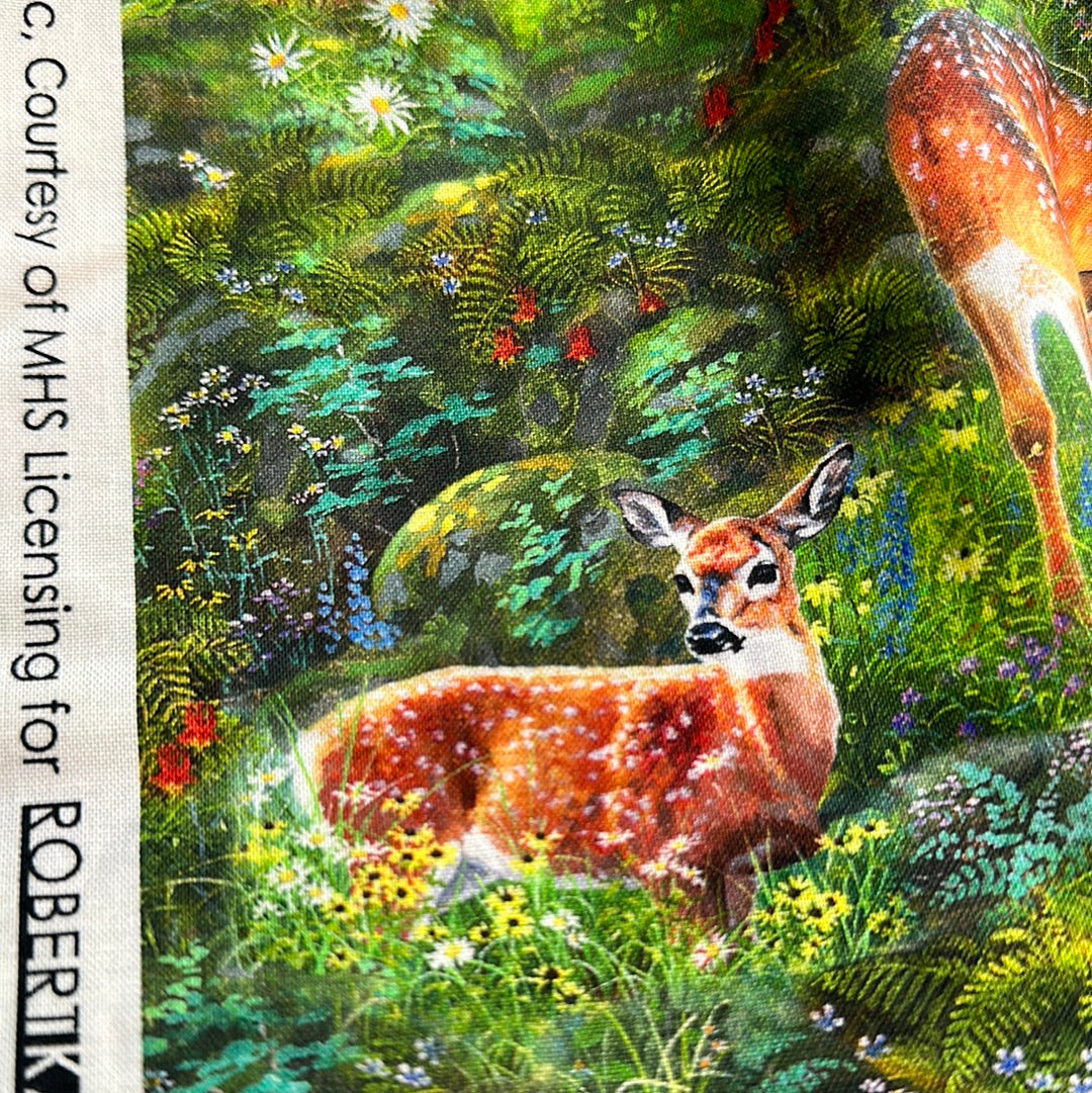 Robert Kaufman - North American Wildlife - Forest