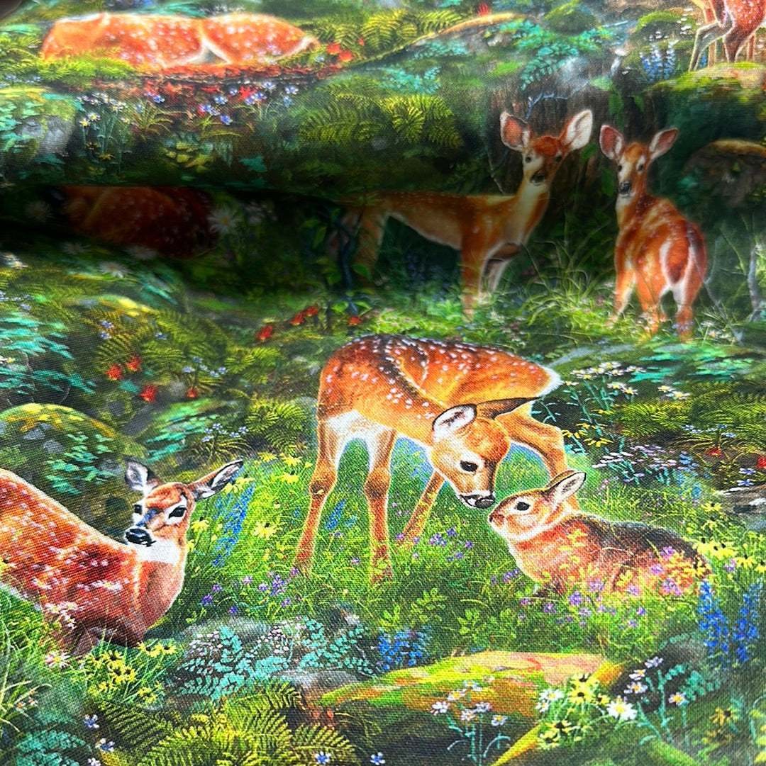 Robert Kaufman - North American Wildlife - Forest