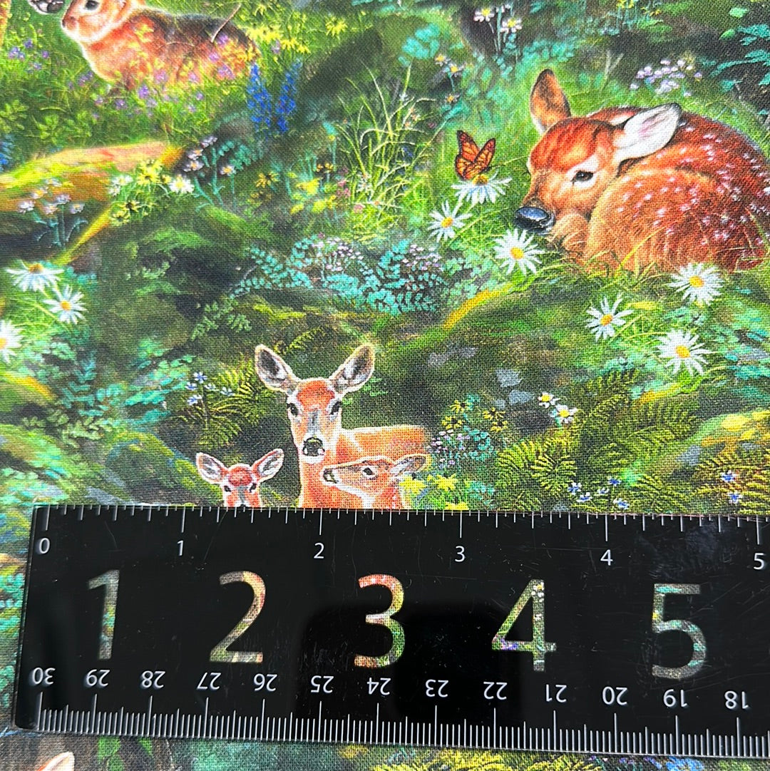 Robert Kaufman - North American Wildlife - Forest