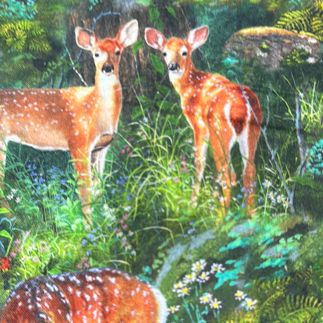 Robert Kaufman - North American Wildlife - Forest