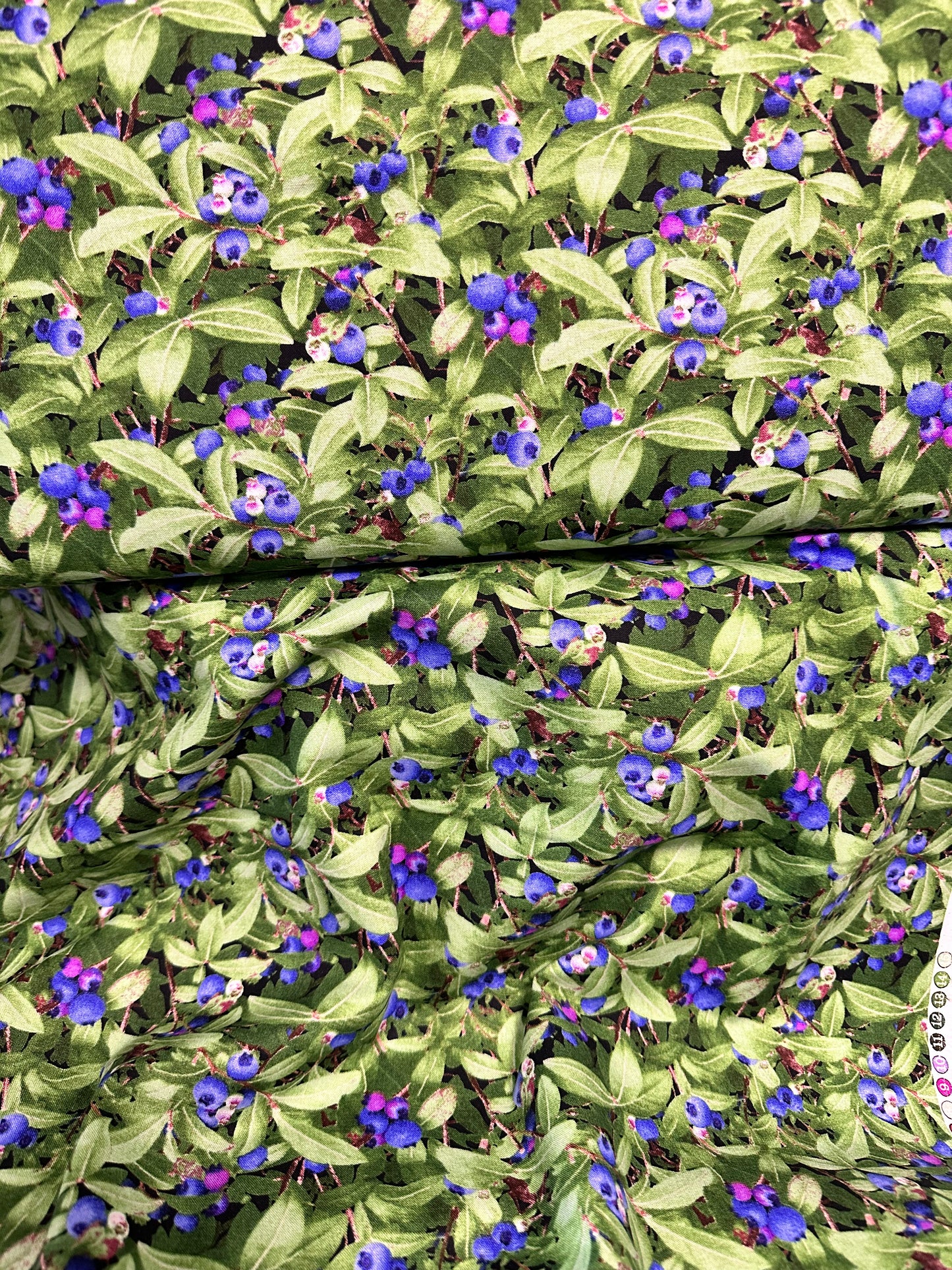 Elizabeths Studio - Berry Good Blueberries - Green