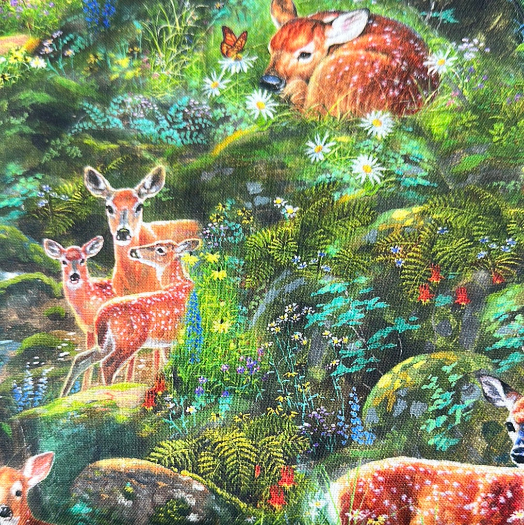 Robert Kaufman - North American Wildlife - Forest