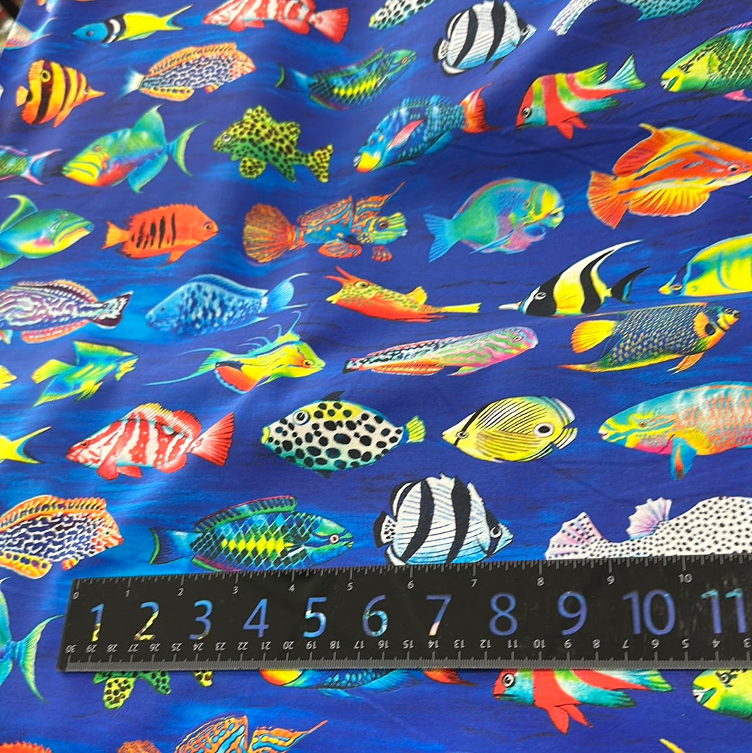 Robert Kaufman - Coral Canyon - Tropical Fish - Blue