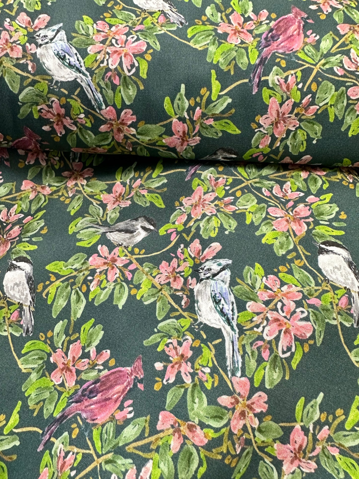 Dear Stella  -  Wildwood - Blue Jays and other birds on Green - Caitlin Collection