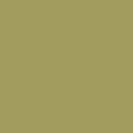Kona - Olive Solid - Half Metre