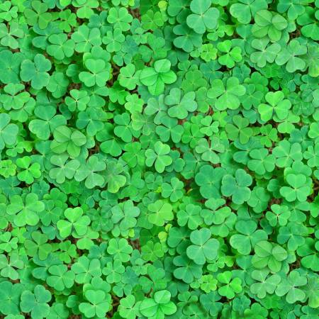 Pre-Cut Last 2 Half yards Remaining - Elizabeth Studio - Green Clover - Perfect for St. Patrick's Day