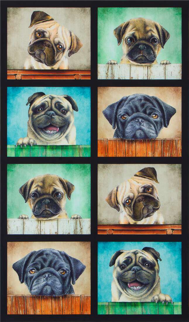 Panel - Pugs - Robert Kaufman - Whiskers & Tails by Bob Bowdige - Pug Panel
