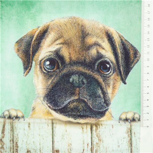 Panel - Pugs - Robert Kaufman - Whiskers & Tails by Bob Bowdige - Pug Panel