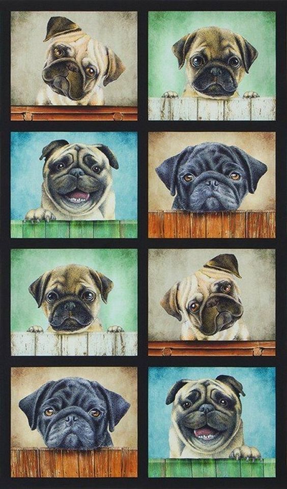 Panel - Pugs - Robert Kaufman - Whiskers & Tails by Bob Bowdige - Pug Panel