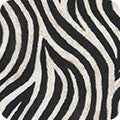 Animal Kingdom Mini's  by  Robert Kaufman - Wild - Priced per half metre