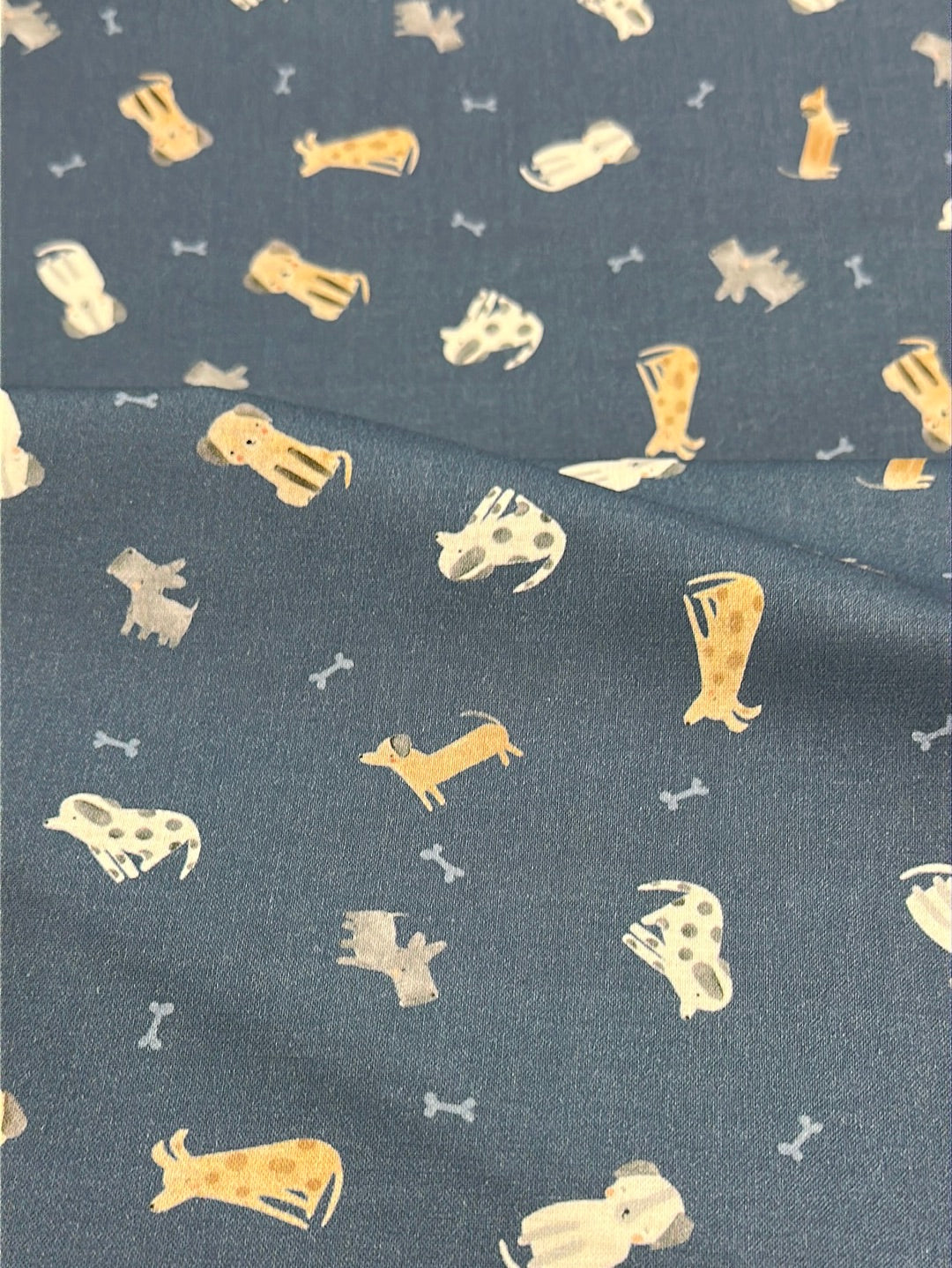 Dear Stella  - Paws & Reflect - The Ultimutts - Orion