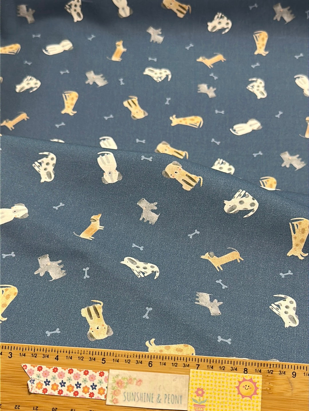 Dear Stella  - Paws & Reflect - The Ultimutts - Orion