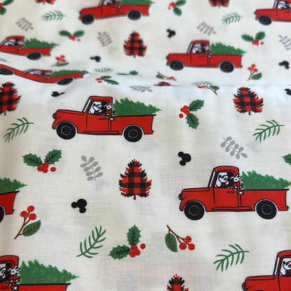 Disney - Vacances rustiques Mickey