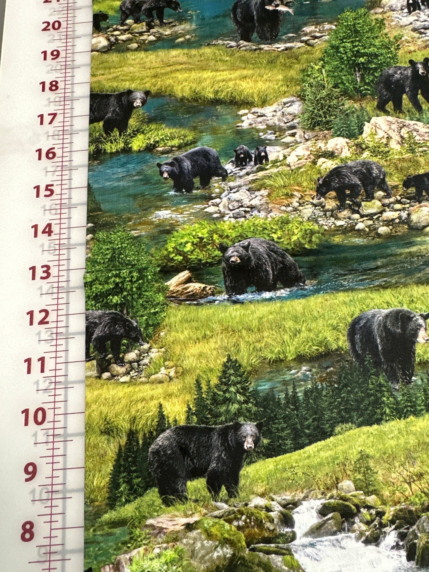 Last 29” x width of fabric - Discover Canada Coast to Coast Bears - Robert Kaufman