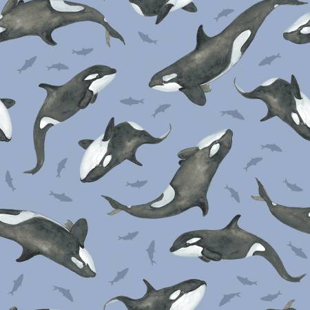 Studio E - Orcas - Blue - Part of the Polar Plungers Collection by Beth Reed - Priced per half metre