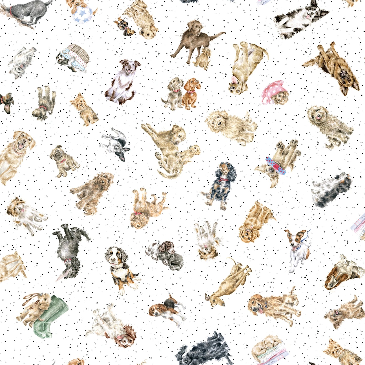 Tossed Dogs on white part of the Whiskers & Paws by Hannah Dale Collection-  Hannah Dale for Maywood Studio - sold by the half metre