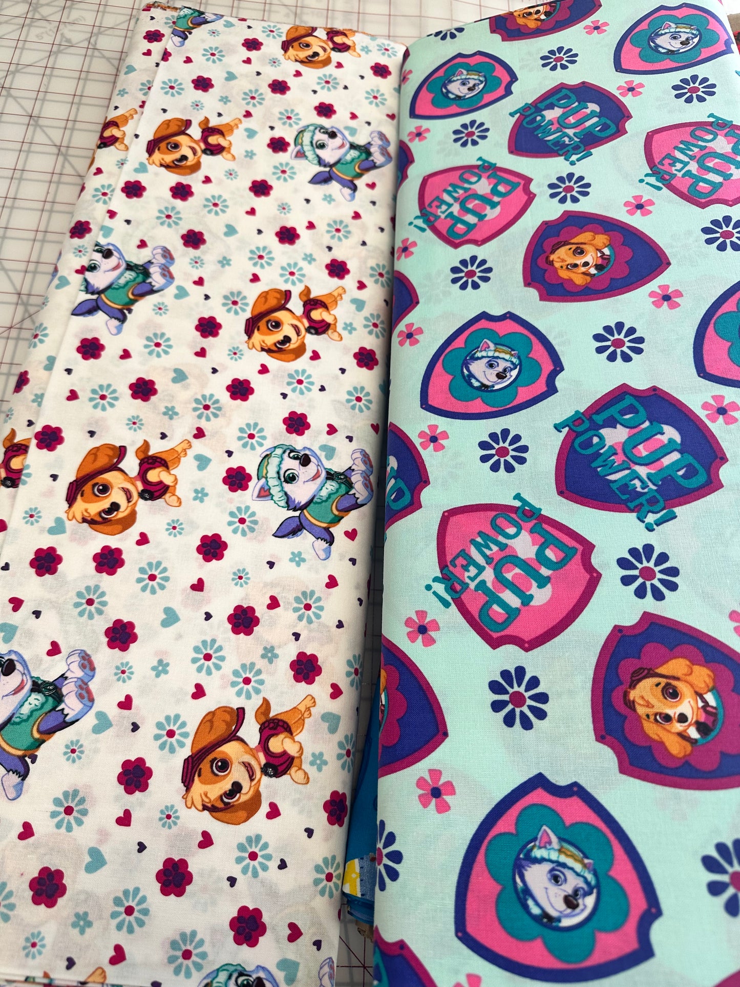 Paw Patrol by David Textiles - Paw Patrol Power Shield - Mint/Multi - Priced per half metre