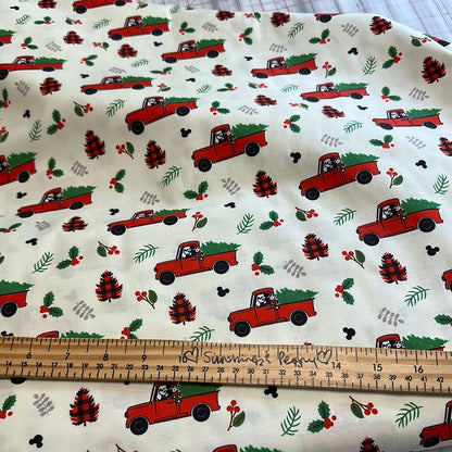 Disney - Vacances rustiques Mickey