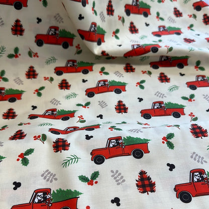 Disney - Vacances rustiques Mickey