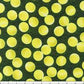 Robert Kaufman - Sports Life - Tennis Balls on Grass (Digital)