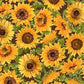 Fall Splendor -  Sunflowers on Brown - Packed