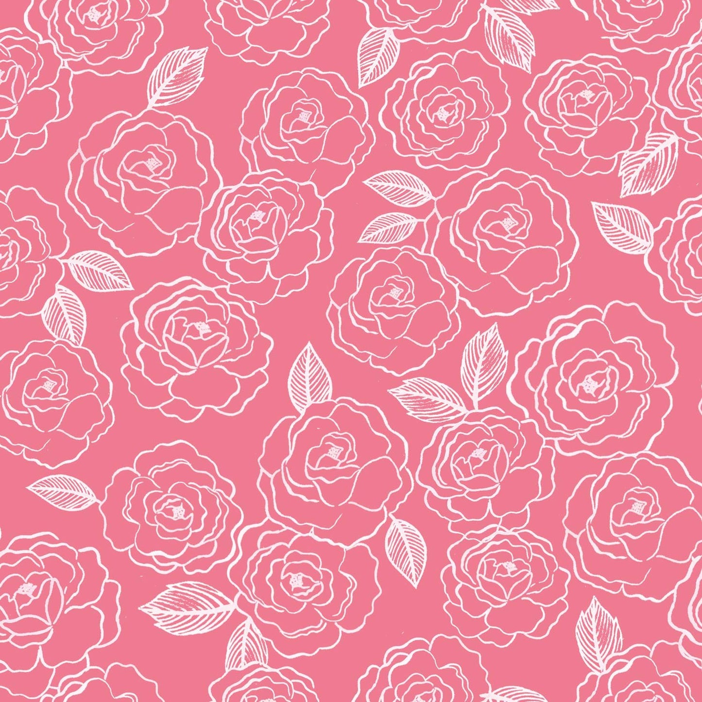 Knit - Katia Fabrics - Ballerinas Roses - Pink