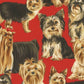Timeless Treasures - Purebred Pups Collection - Yorkshire Terrier on Red