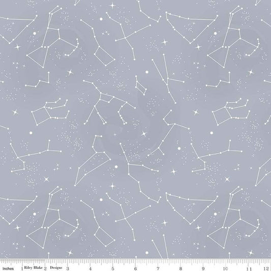 Hors de ce monde avec les constellations de la NASA Grey - Riley Blake