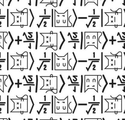 The Big Bang Theory Collection - Math Cat