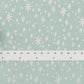 Holiday Classics by Rifle Paper Co.  - Starry Night - Mint Metallic (Silver stars)