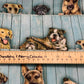 Moustaches et queues - Teckels (Weiner Dogs) en chandails sur blanc- par Robert Kaufman