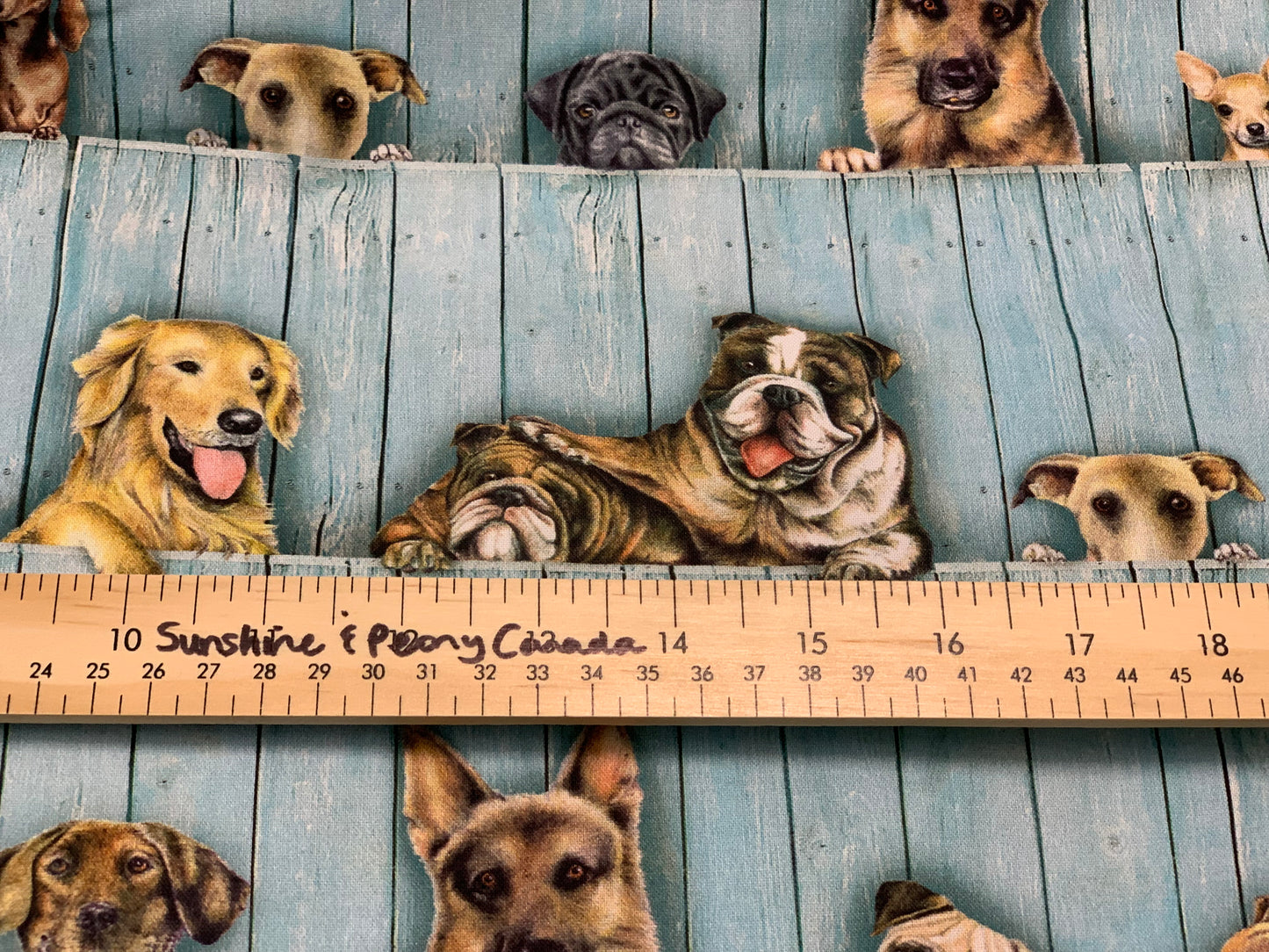 Back in stock - Robert Kaufman - SWEET Dog and Pup Fence - by Bob Bowdige from Whiskers & Tails - Priced and sold by the half metre