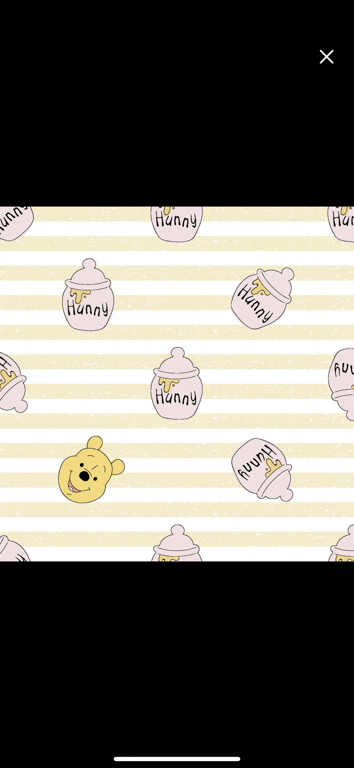 Springs Creative - Winnie the Pooh - Winnie the Pooh and Hunny - Stripes
