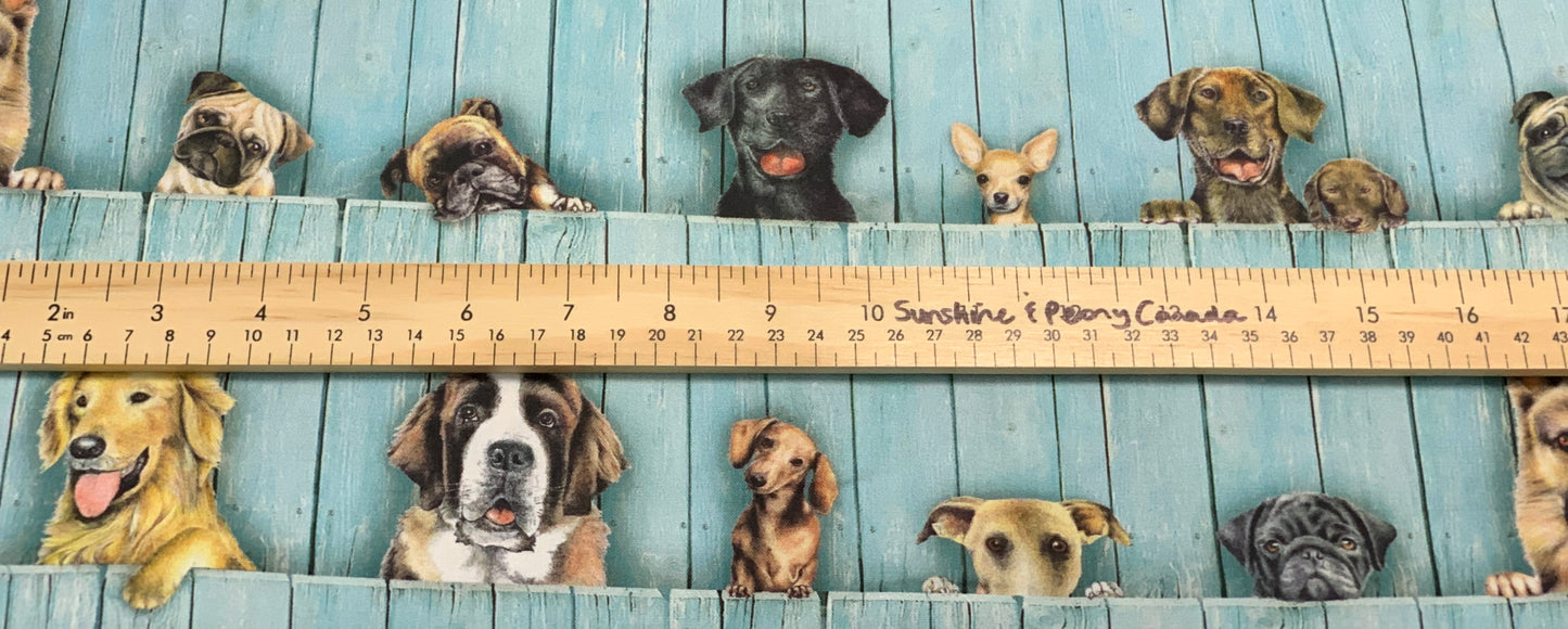 Back in stock - Robert Kaufman - SWEET Dog and Pup Fence - by Bob Bowdige from Whiskers & Tails - Priced and sold by the half metre