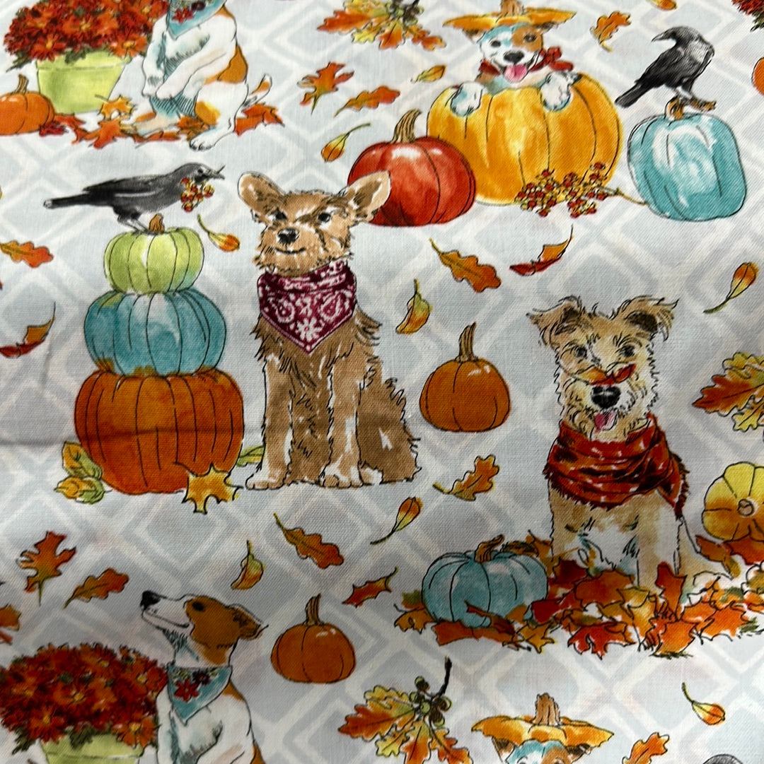 Robert Kaufman - Dogs Love Fall - Dogs in Bandanas with Pumpkins