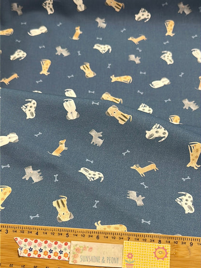 Dear Stella  - Paws & Reflect - The Ultimutts - Orion