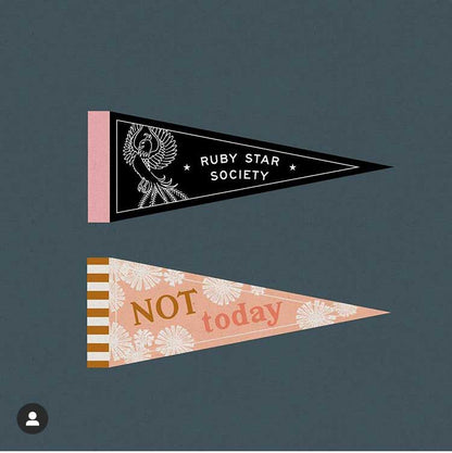 Panel - Ruby Star Society - PEP Talk Panel 45 x 48
