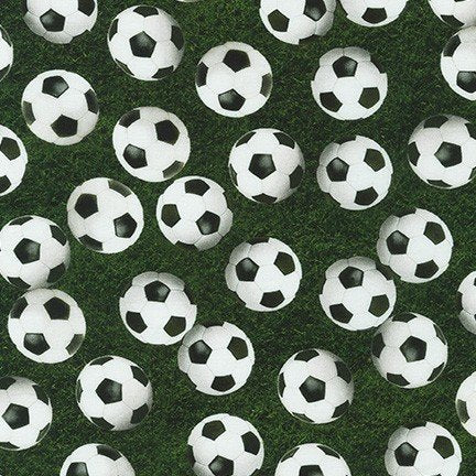Robert Kaufman - Sports Life - Soccer Balls on Grass (Digital)
